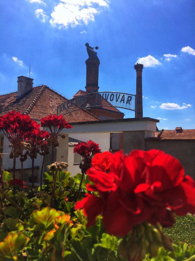 Pivovarsky Hotel Dalesice エクステリア 写真